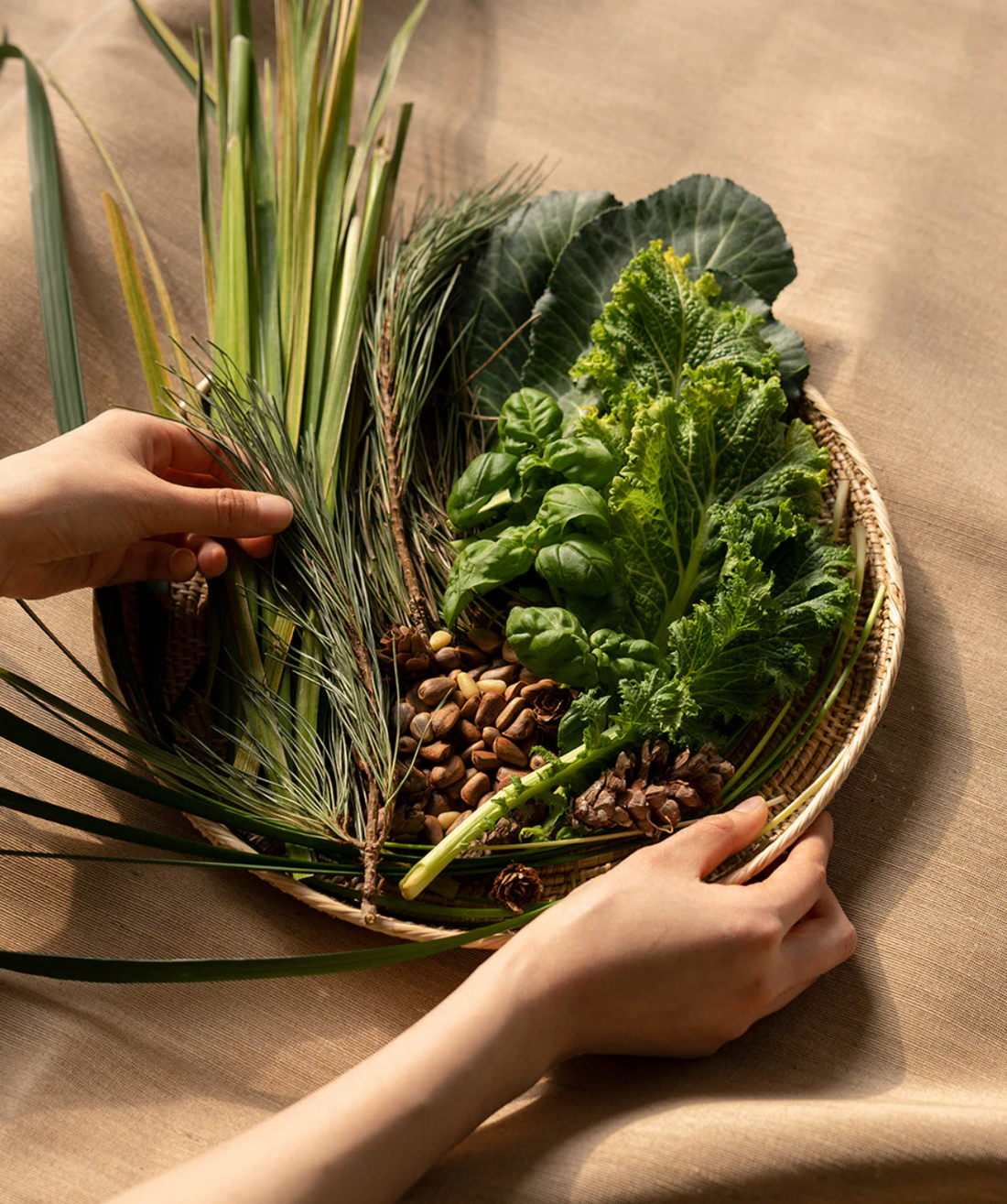 elements of nature, ingredients of the melixir vegan cosmetics