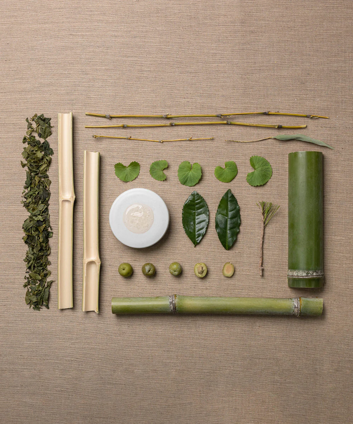 bambou green tea face hydration serum
