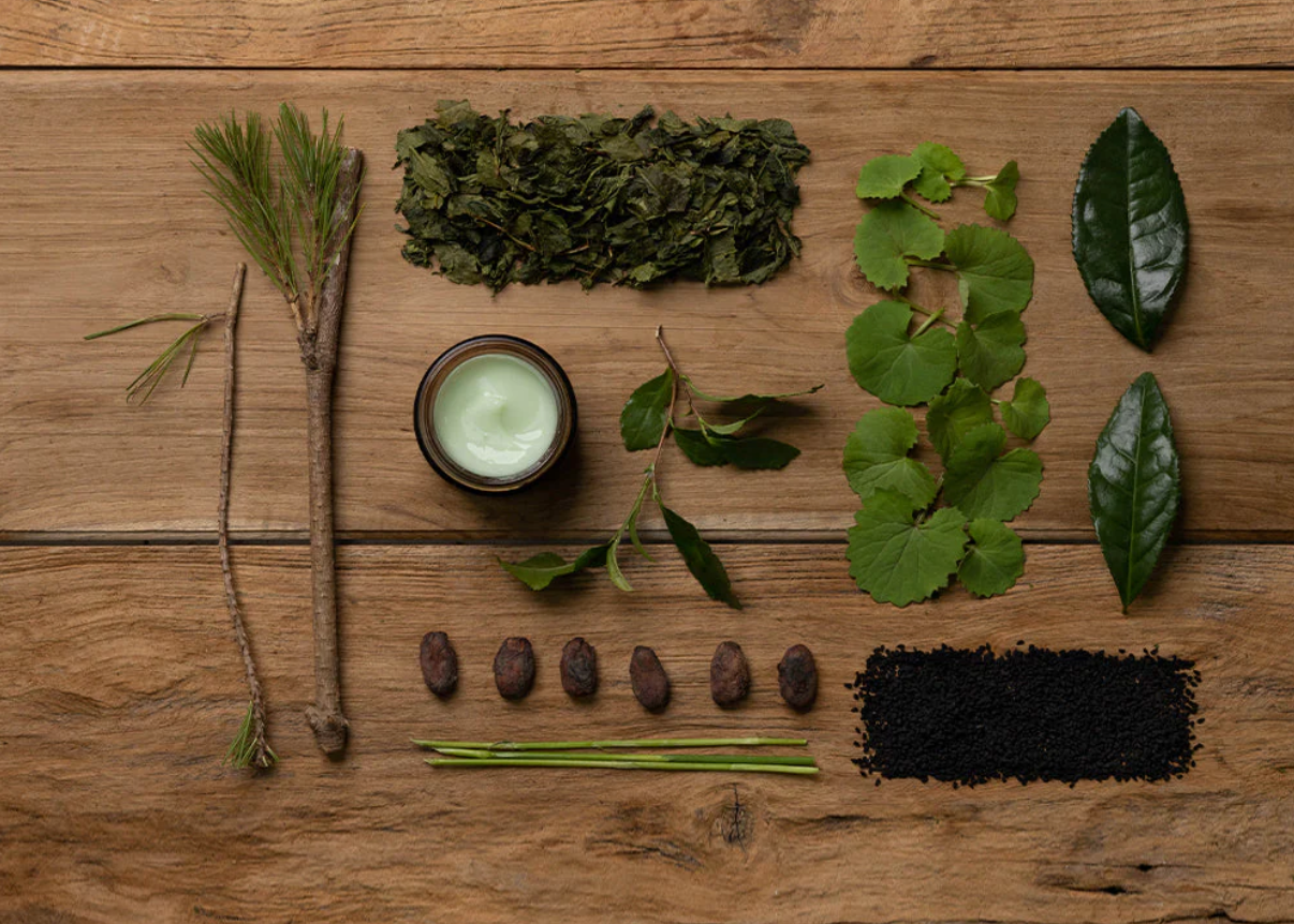 green tea and other herbal vegan ingredients of melixir formulas