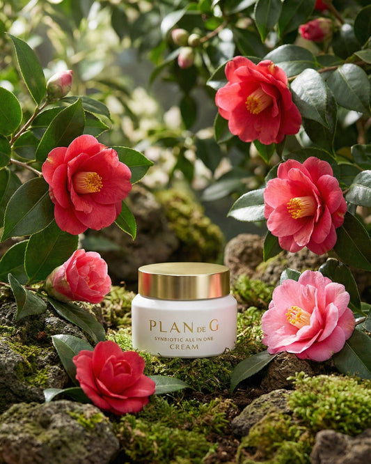 Crème Plan de G Synbiotic All-in-One Cream renforçant la barrière cutanée et l’hydratation
